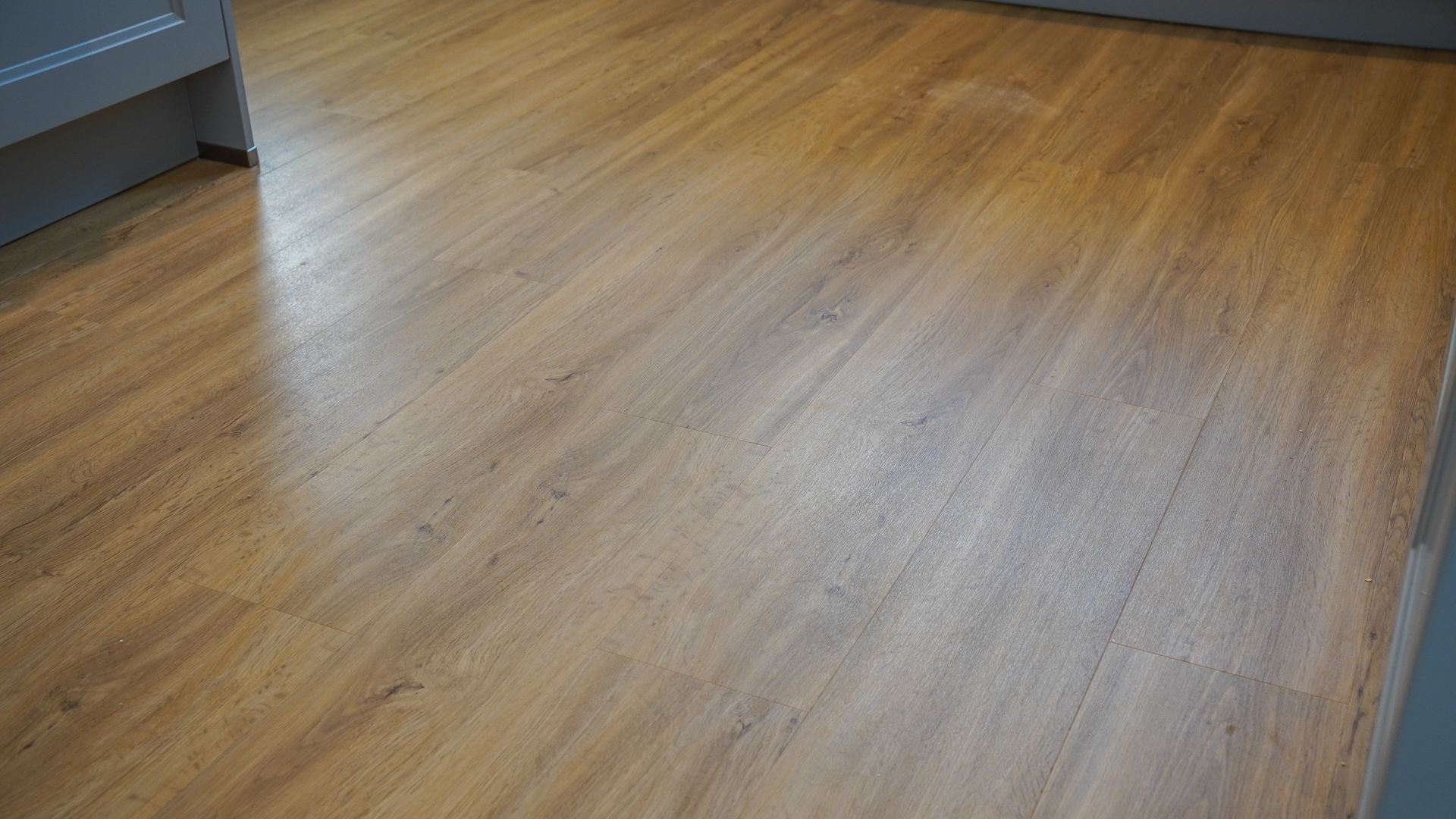 Hard floor after suction test, with oats cleared