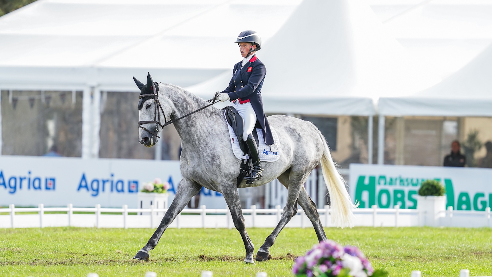 Ros Canter riding grey horse Armscote Explorer perform a dressage movement in a grass arena at Blenheim Horse Trials. In the background are white tents and sponsor branding.