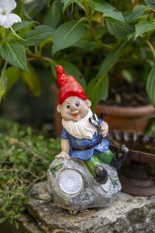 small rock garden ideas: suttons gnome on rock with LED light