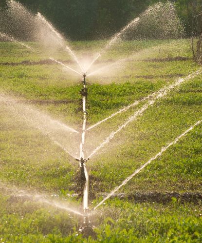 How To Blow Out A Sprinkler System: Tips For Cold Weather | Homes & Gardens