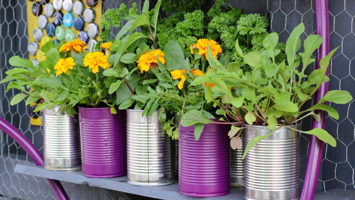 Want to save money in the garden? These are the 12 things you need to try