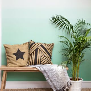 Mint green ombre painted wall in a hallway with a bench and pot plant