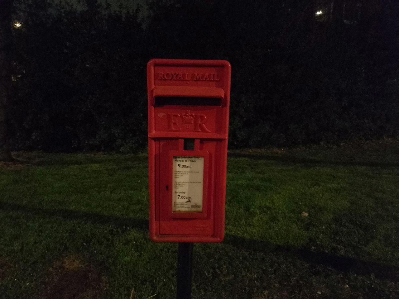 Nokia G21 camera sample