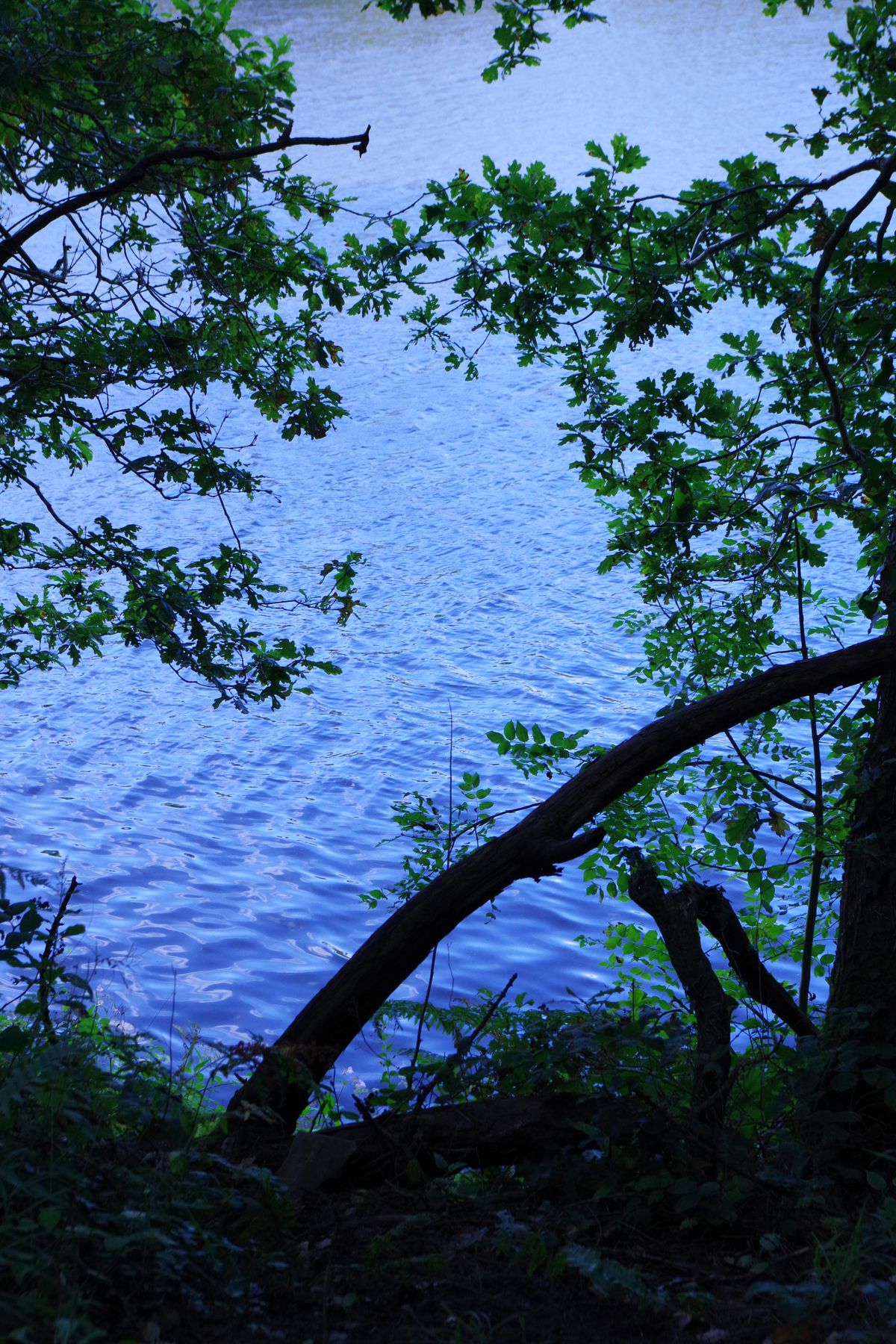 Image of a lake taken with the Pentax KF