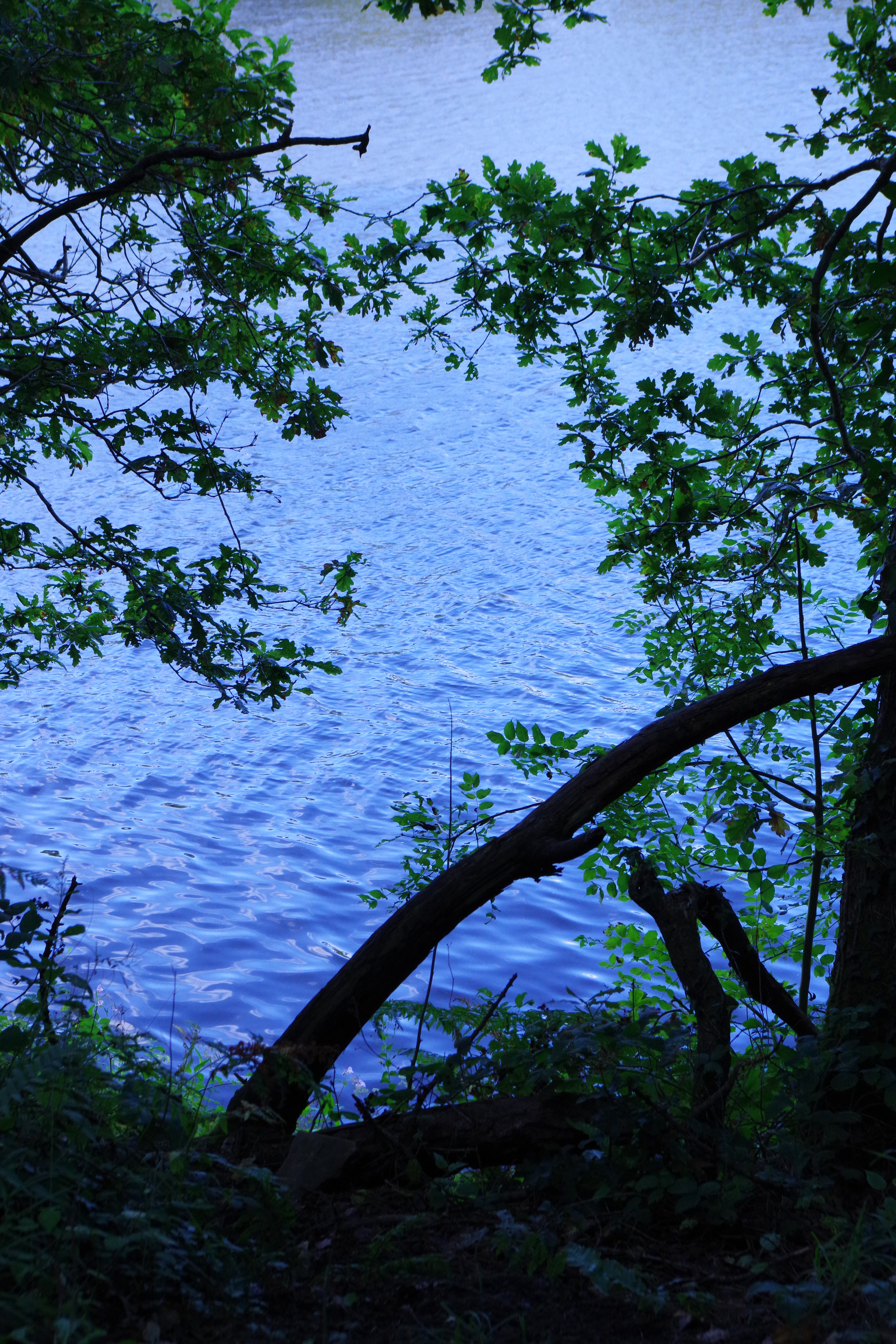 Image of a lake taken with the Pentax KF