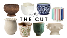 houseplant pots the cut hero image