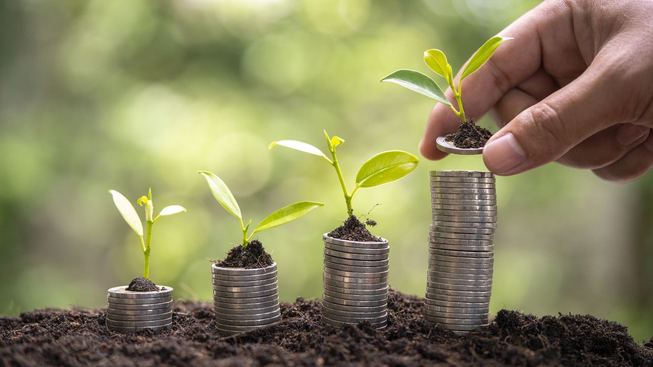 growing stacks of coins with sprouts on top