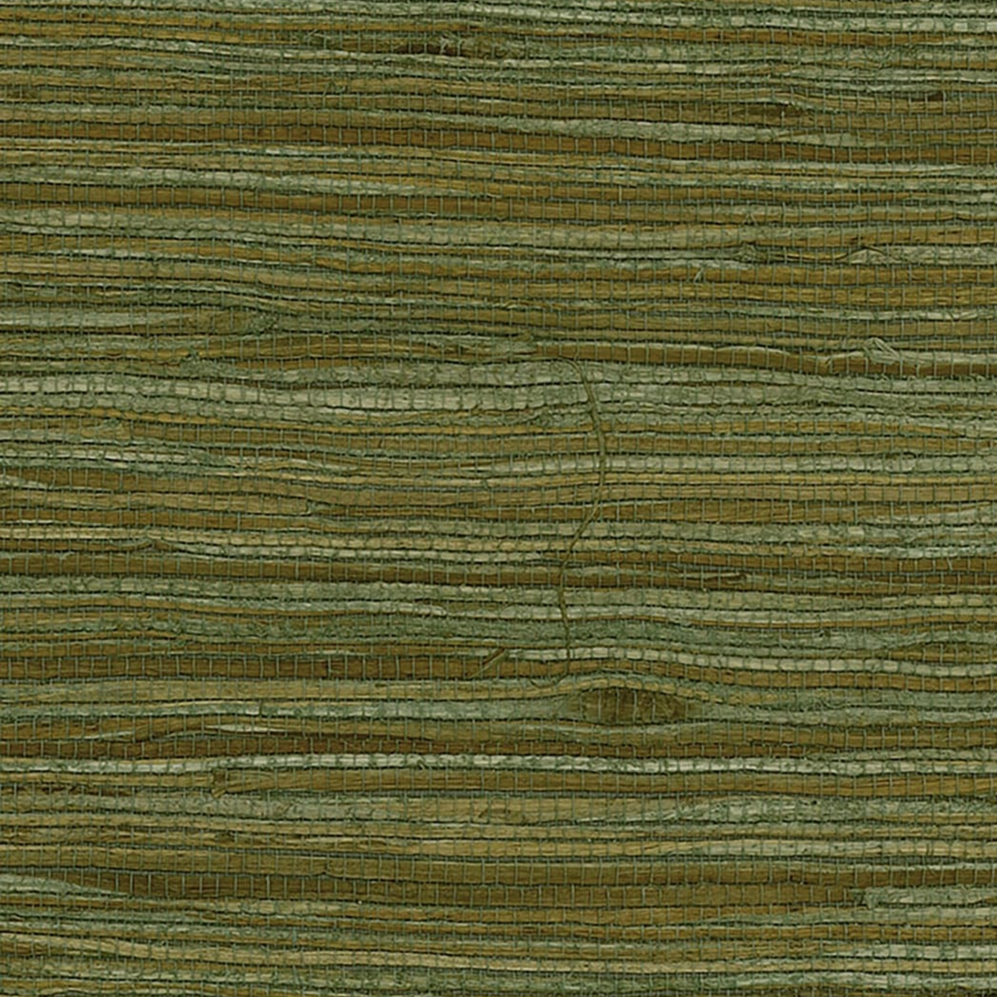 green grasscloth wallpaper