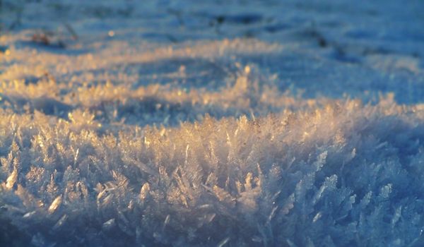 snow-flakes-closeup-02