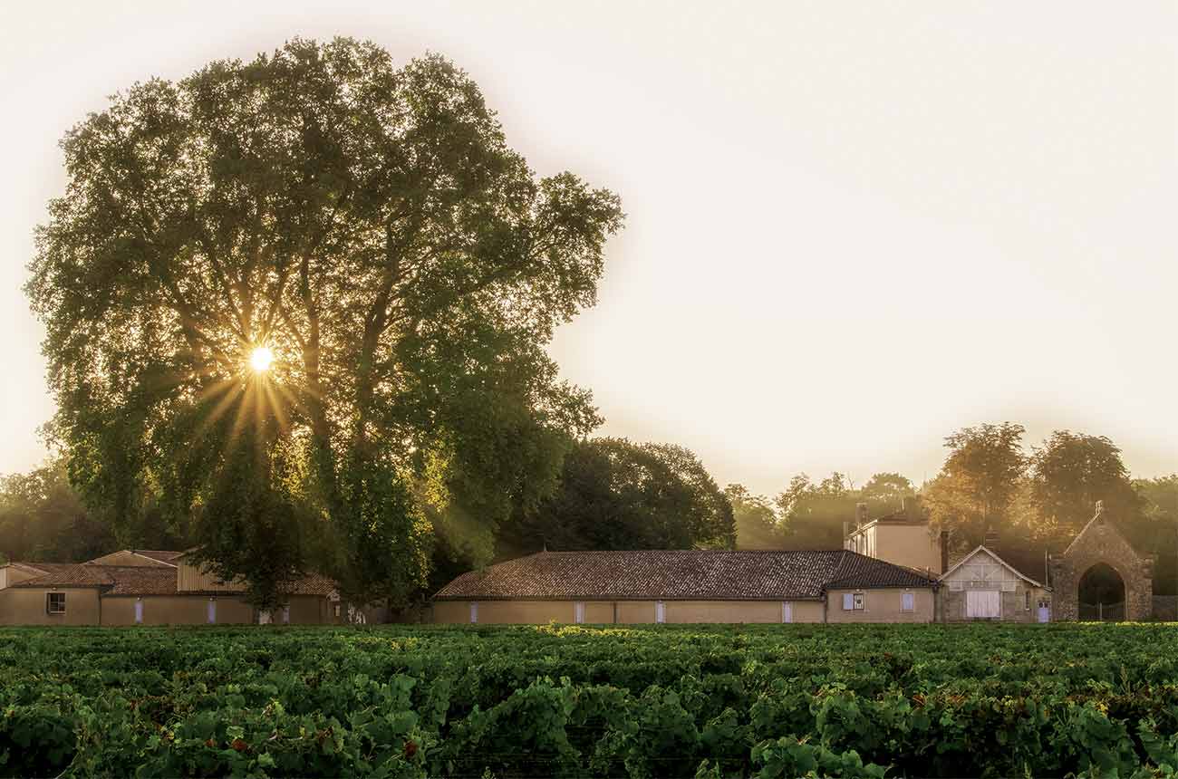 Ch&acirc;teau Bastor-Lamontagne in Preignac in Gironde, France