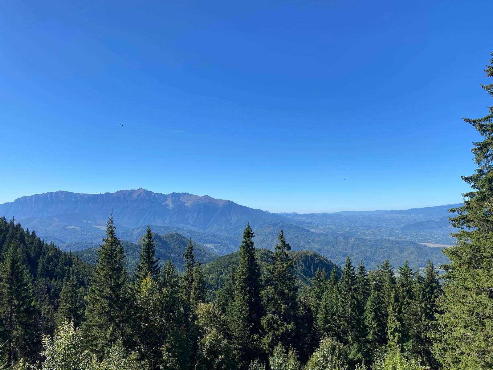 View from the top of the trail shows high trees and mountains