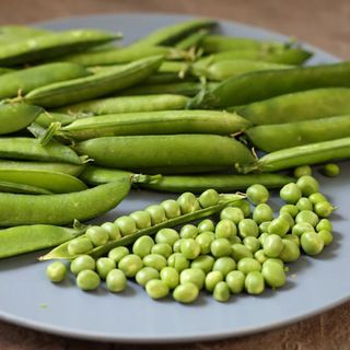 'Hurst Green Shaft' peas on plate from Crocus