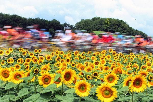 The peloton was fast in the flatter parts