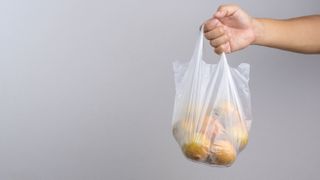 A hand holding a plastic bag filled with ingredients
