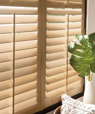 Wooden shutters with houseplant