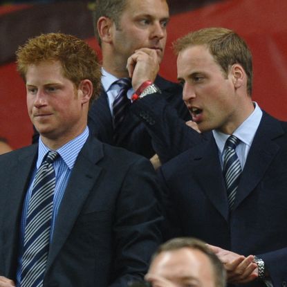 Prince William and Prince Harry attend the 2010 World Cup group C first round football match between England and Algeria on June 18, 2010 at Green Point stadium in Cape Town.