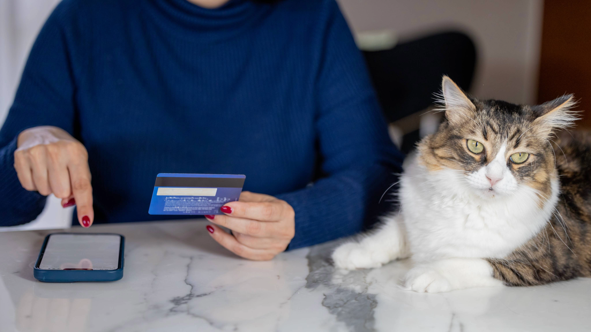 Cat sitting on a marble work top next to a person who is holding a credit card and about to tap on an phone screen