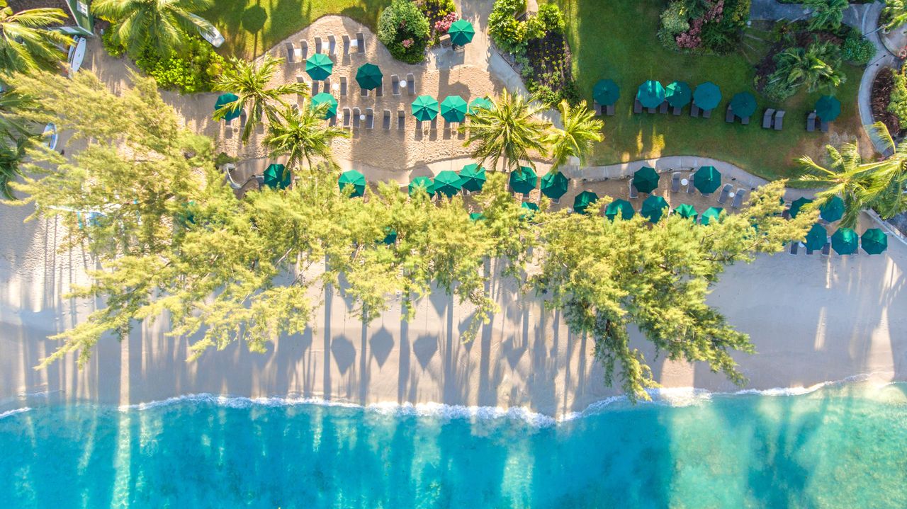 Coral Reef Club