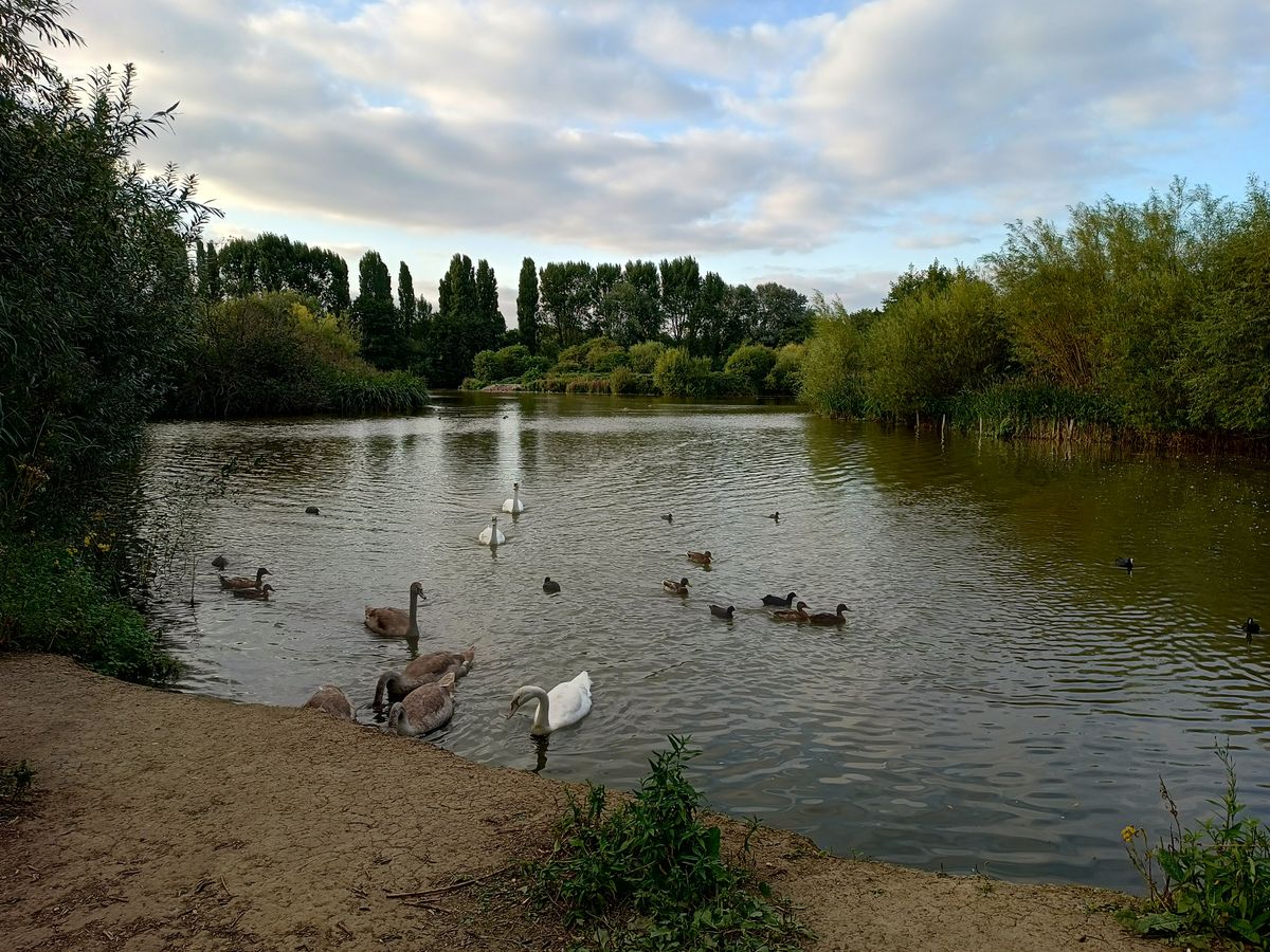 A photo of a lake taken by the Motorola Edge 20 Lite