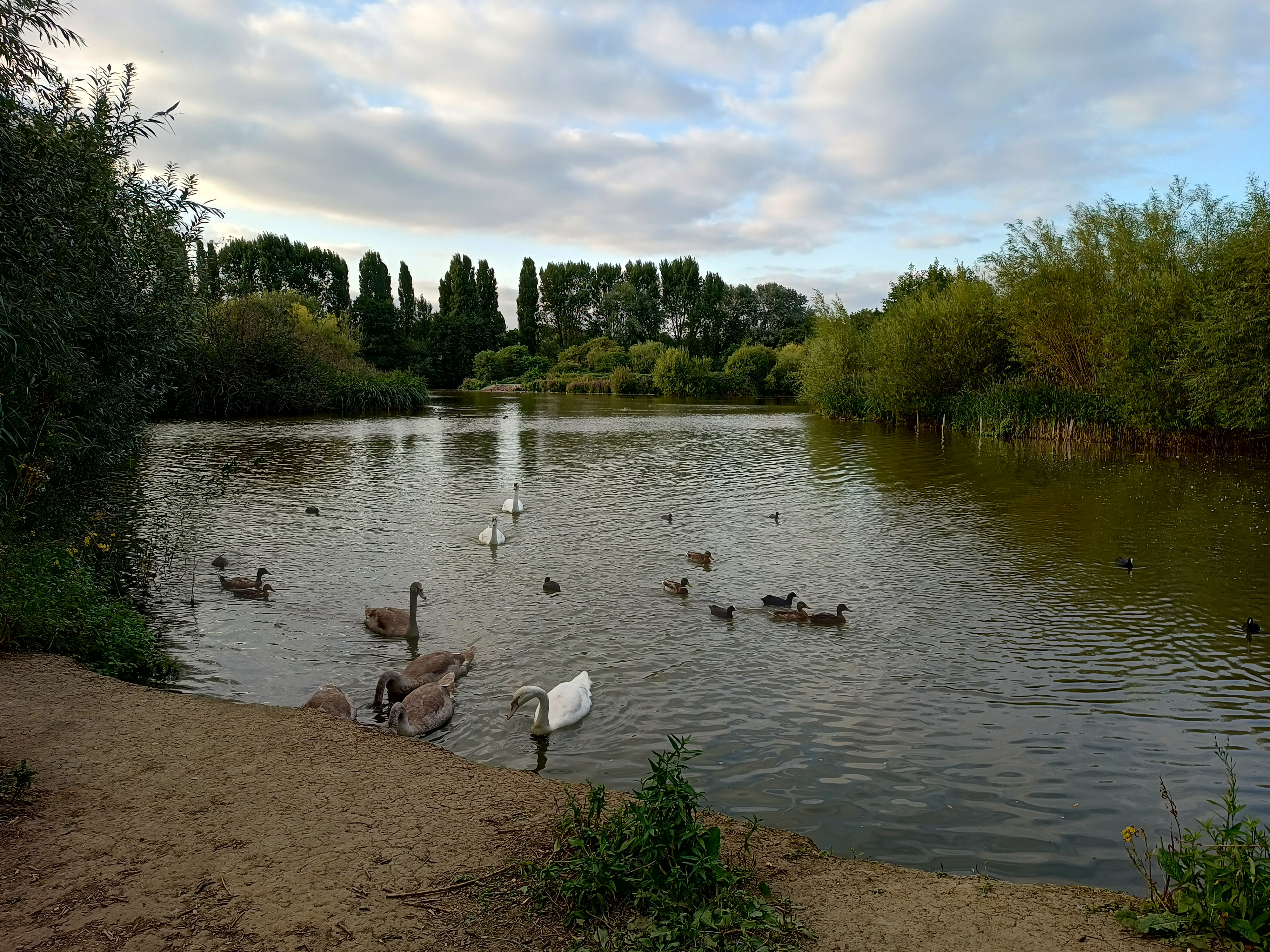 A photo of a lake taken by the Motorola Edge 20 Lite