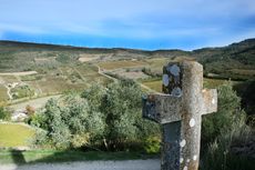 00000909d-jefford.jpg