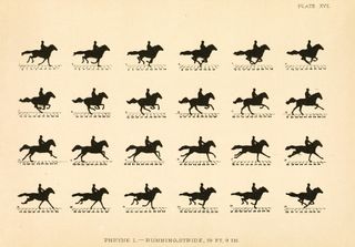 Eadweard Muybridge (American, born England, 1830 - 1904), The Horse in Motion as Shown by Instantaneous Photography