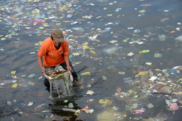 Pollution is taking over.