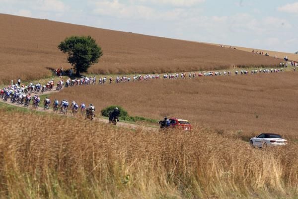 The peloton winds its way through the fields of France.