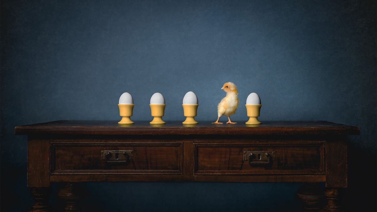 Chick stand among row of eggs in egg cups.