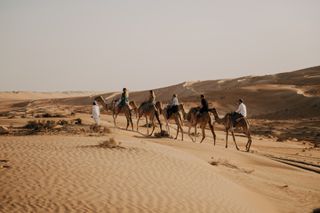 A camel ride in the Wahiba Sands desert