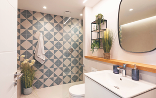 Toilet/bathroom with tiled blue feature wall behind the bath