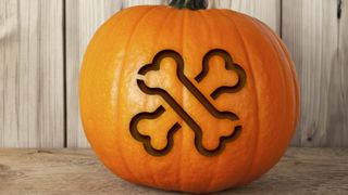 Dog bones carved into pumpkin