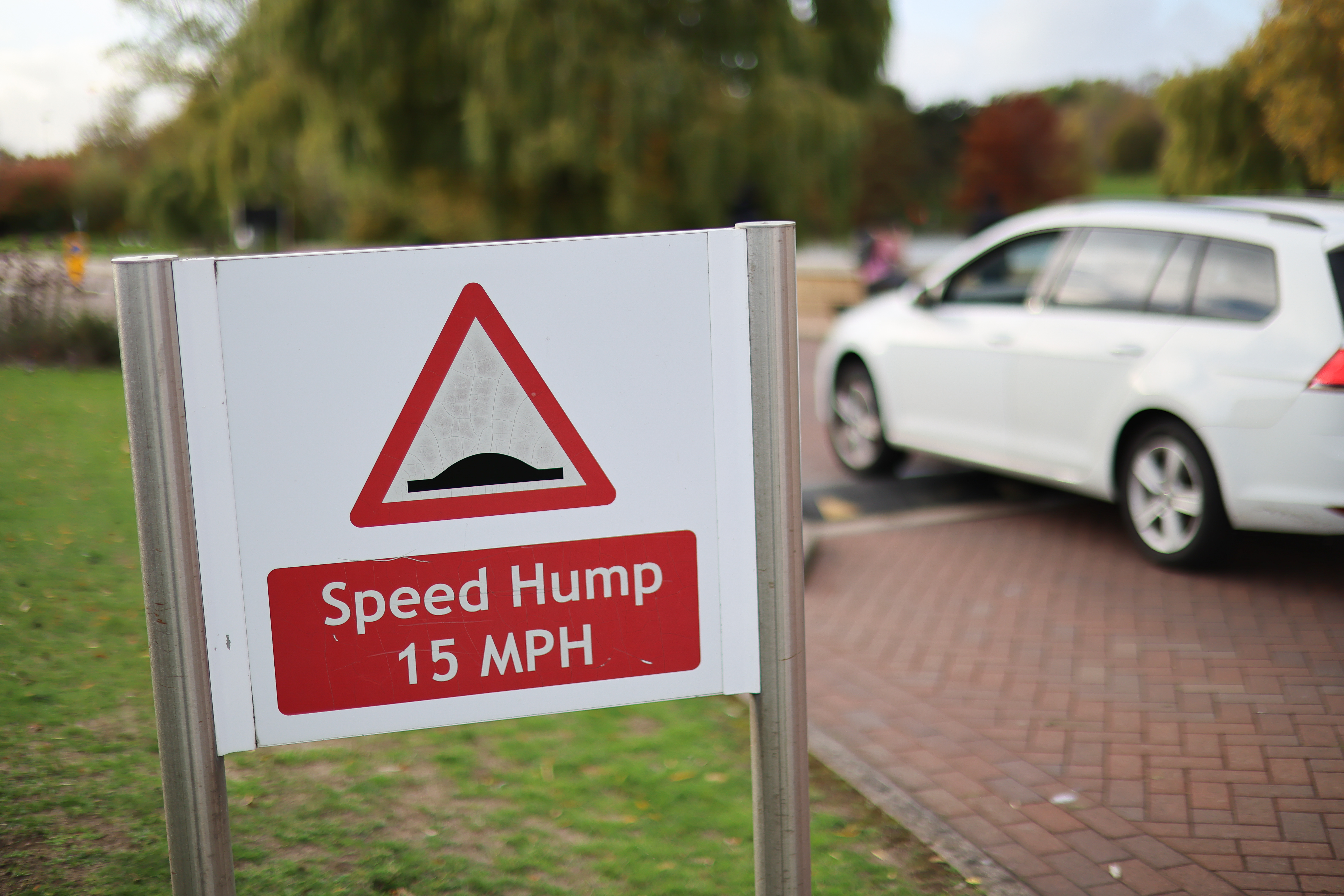 Sample image taken on the Canon RF 45mm f/1.2 STM