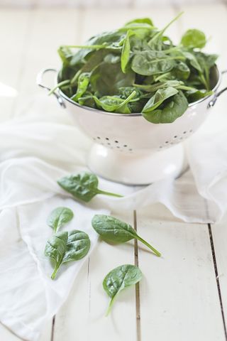 How to grow spinach harvested leaves