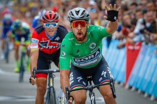 Peter Sagan wins stage 13 at the Tour de France