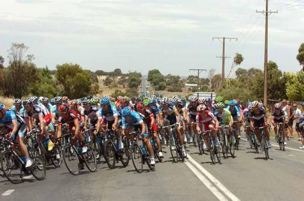 The peloton race towards Clare for the first stage at this year's Tour Down Under