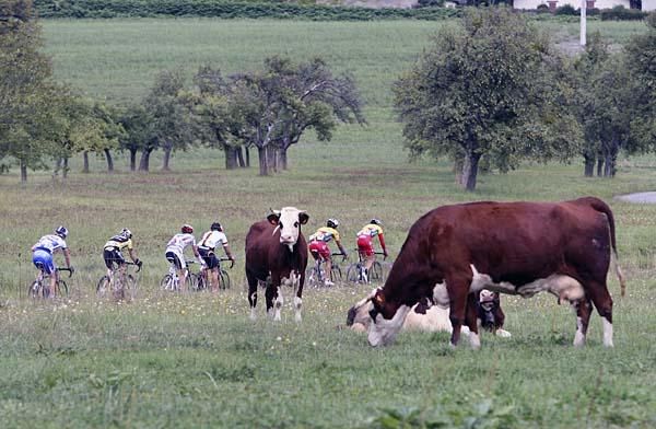 Riders enjoy a rural section of the race.