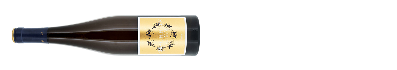 Korrell-Kirschheck-Riesling-Nahe-2022.jpg