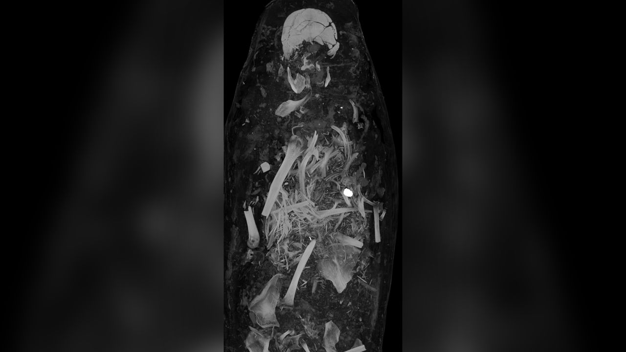 Some of the male mummy's bones were broken and jumbled.
