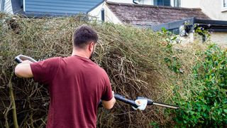 Man trimming overgrown bushes in garden