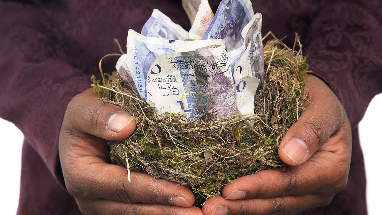 Hands holding money in a bird&amp;#039;s nest