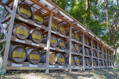 Burgundy barrells at the Meiji Shrine