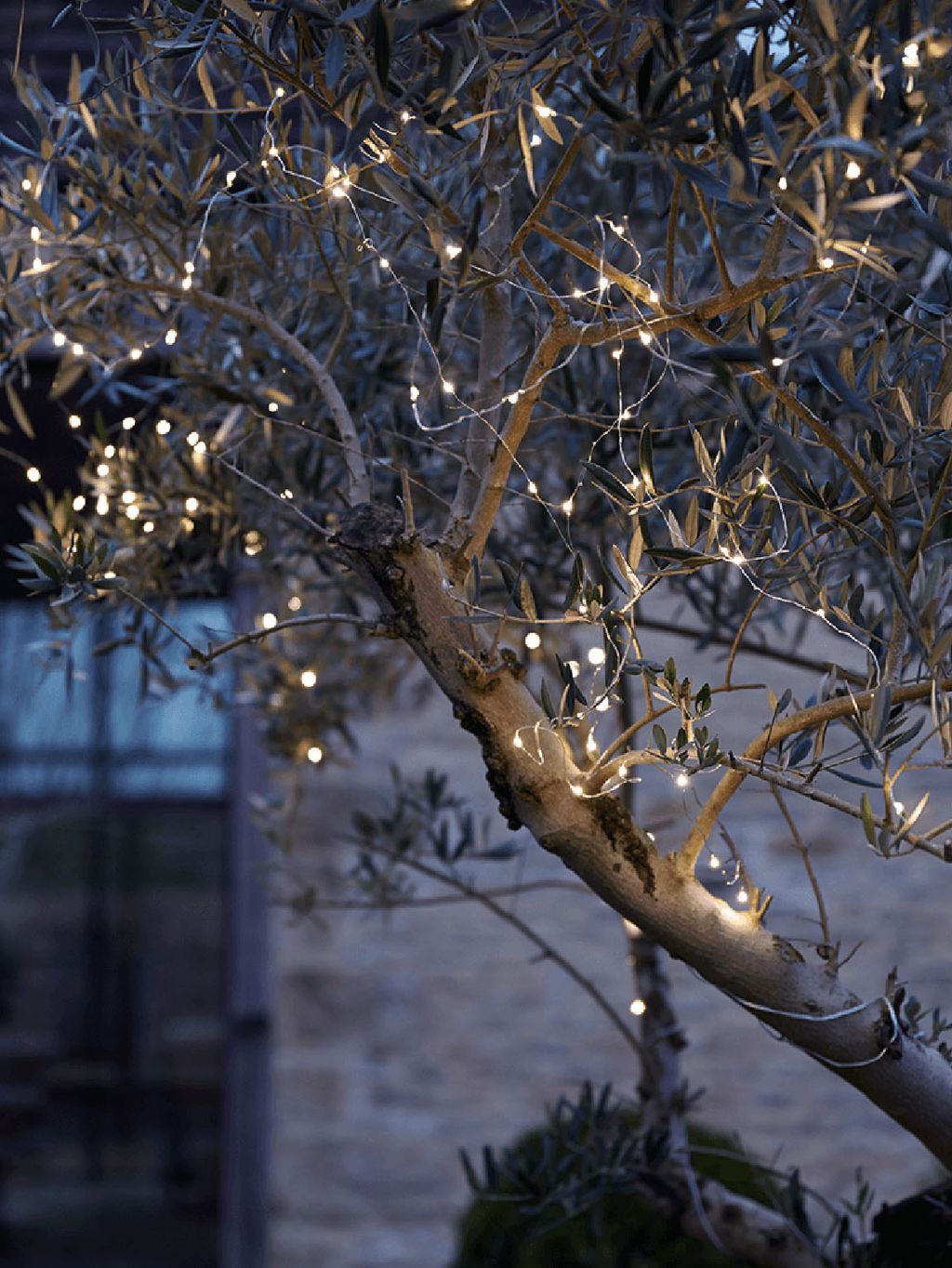 Lights on the tree. Украшение деревьев гирляндами. Дерево для украшений. Гирлянда на дереве. Деревья украшенные гирляндами.