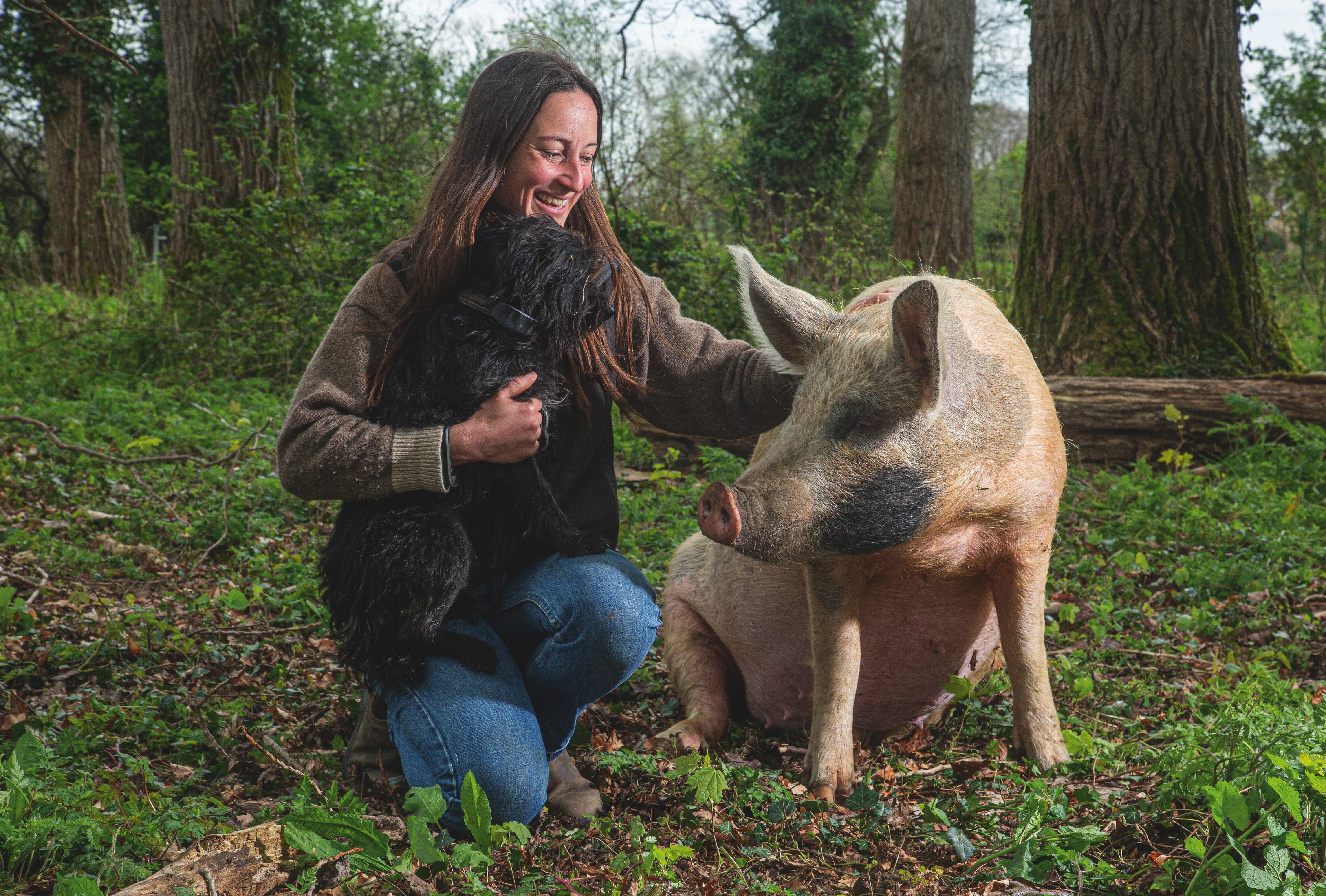 Annie Landless and her dog, Scroggy, with Pinky, a Saddleback Gloucester Old Spot Duroc Tamworth pig who lives in Bushey Hayes Wood at Ampney Brook Farm in Gloucestershire.