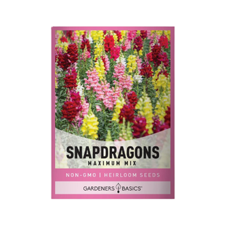 A pack of snapdragon seeds