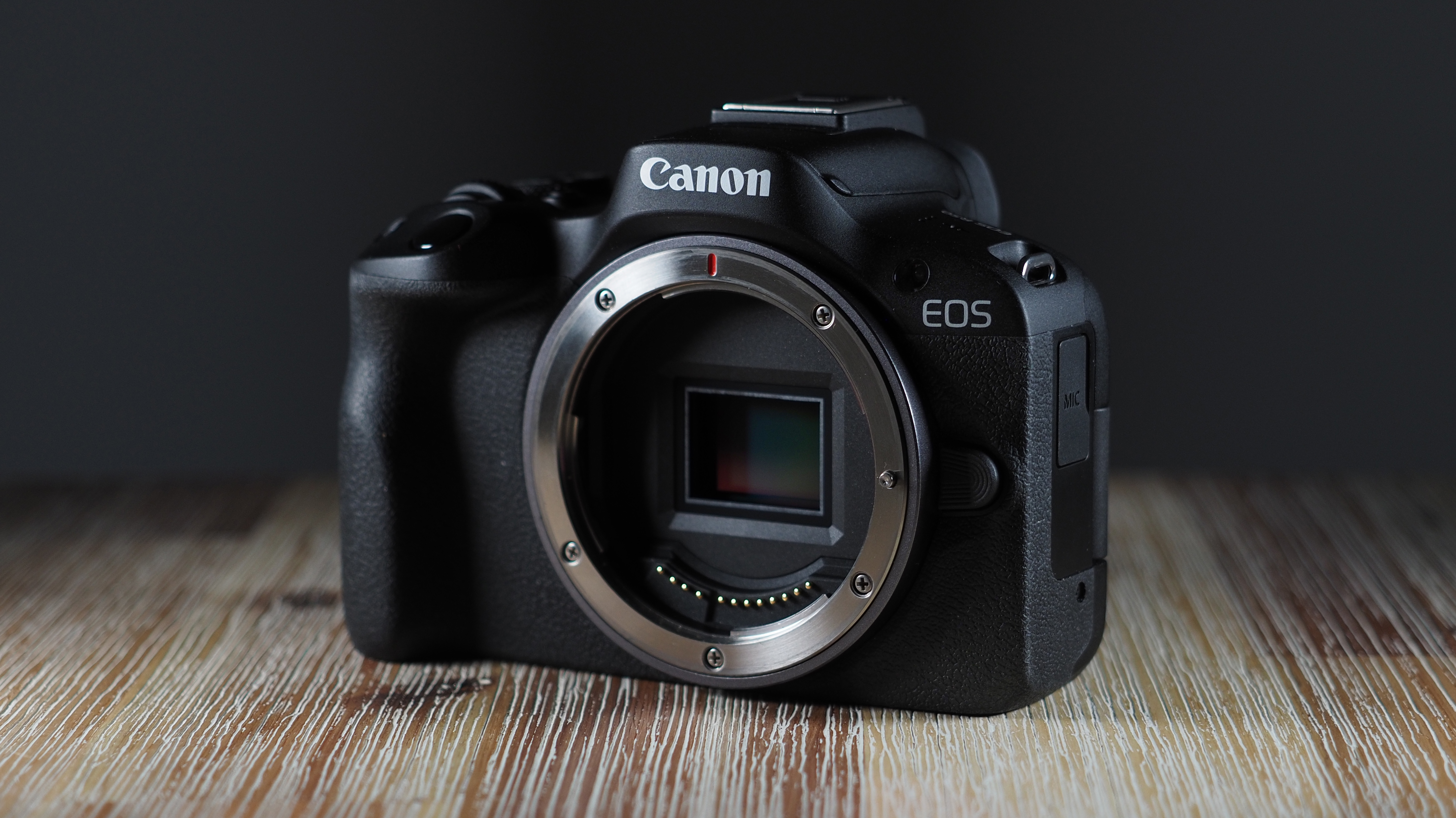 Canon EOS R50