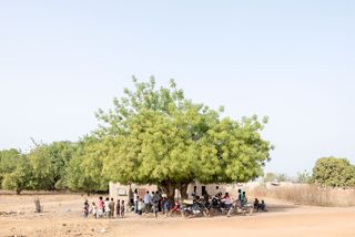 Tree and people shot in lighting photo series by Iwan Baan and Francis Kéré for Zumthobel