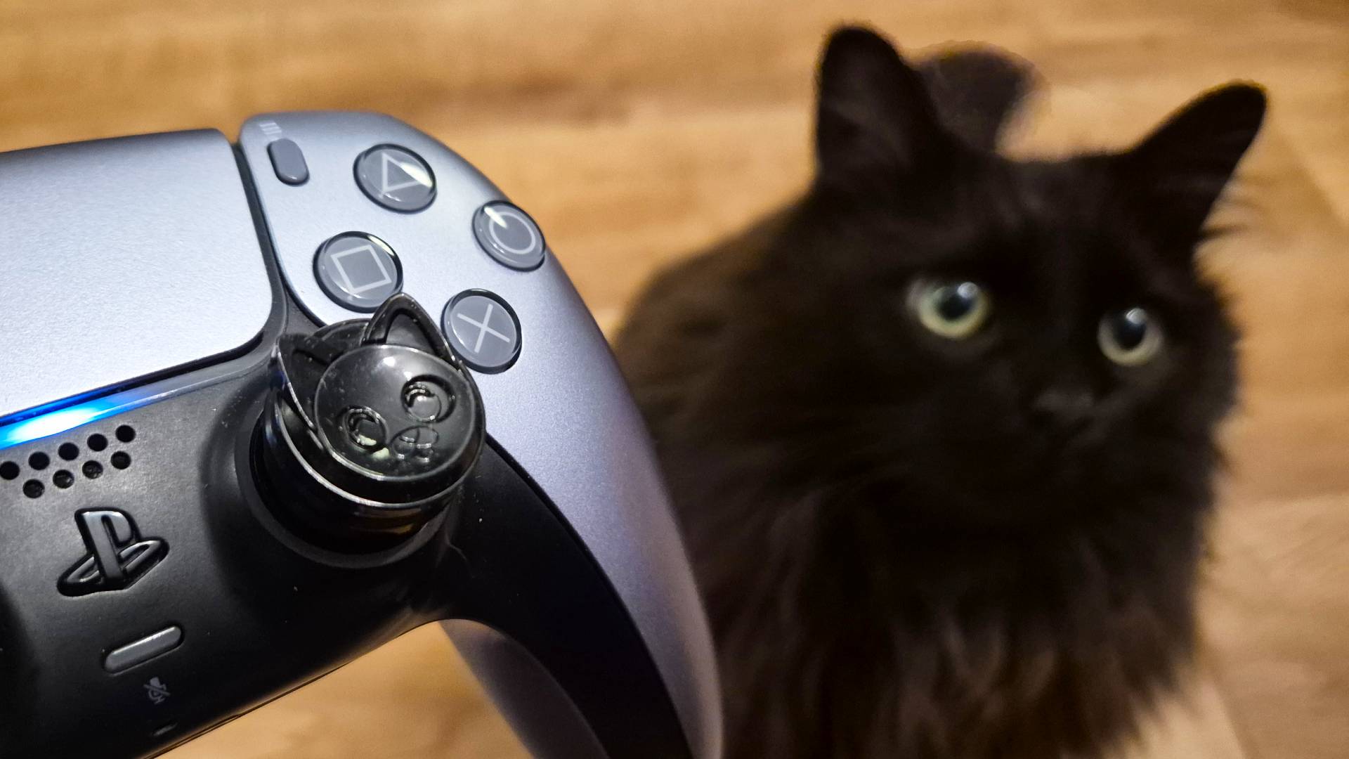 Photo of a silver PS5 controller with cat-shaped thumbsticks sitting in front of a matching black cat.