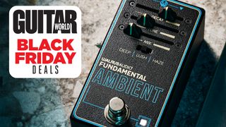 Walrus Audio Fundamental Ambient