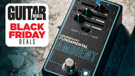 Walrus Audio Fundamental Ambient